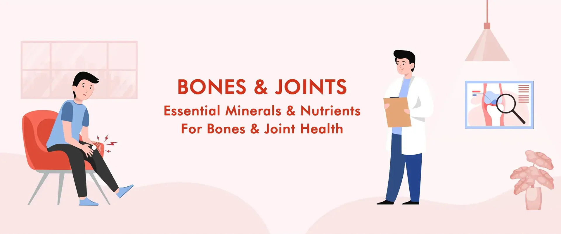 Bonex & Joints